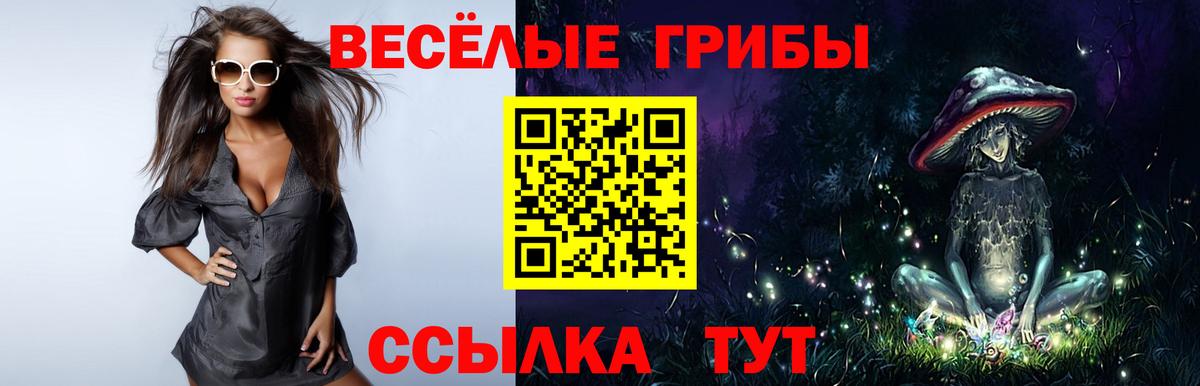 Псилоцибиновые грибы MAGIC MUSHROOMS  Вход с VPN  Галлюциногенные грибы MAGIC MUSHROOMS  где найти наркотики  Кумертау 